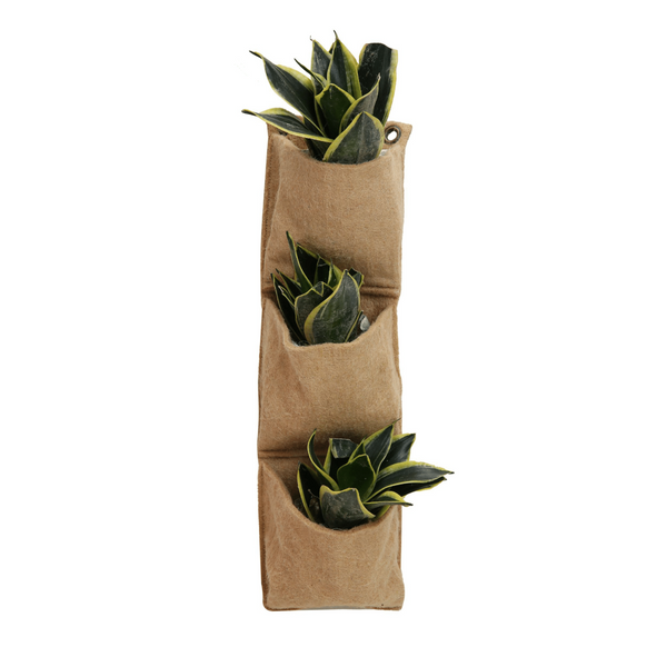 Three-pocket vertical wall planter with leafy green plants