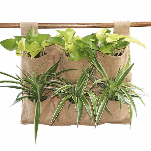 Vertical Garden Irrigation 101: Drip vs. Misting for Pocket Walls