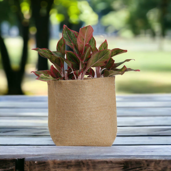 Why Jute Fiber Pots are the Future of Sustainable Gardening