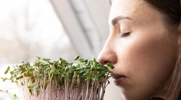 micro greens