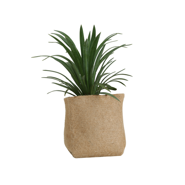 5-gallon jute grow pot with a potted plant