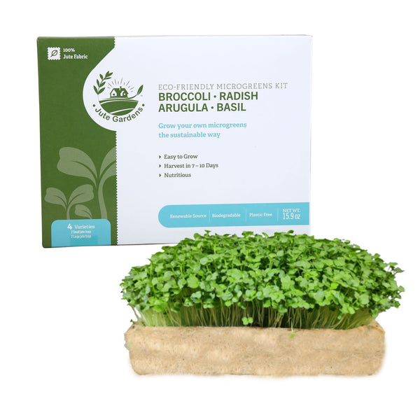 microgreens grown with jute gardens microgreen kit