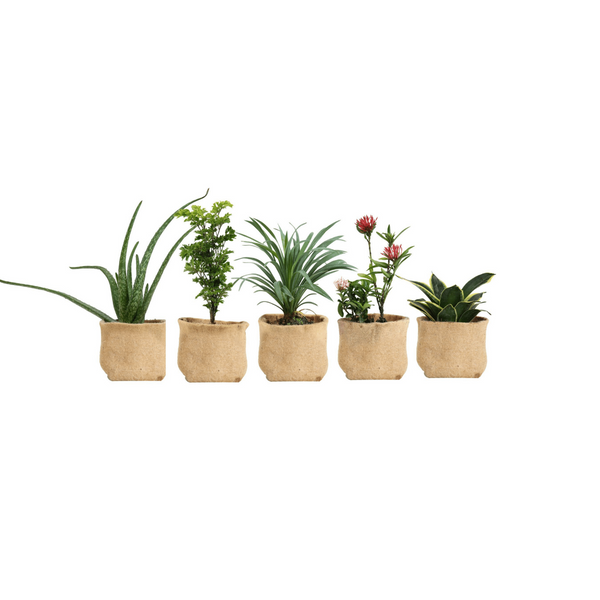 5 pack of 1 gallon jute fiber grow pots