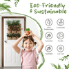 eco-friendly and sustainable