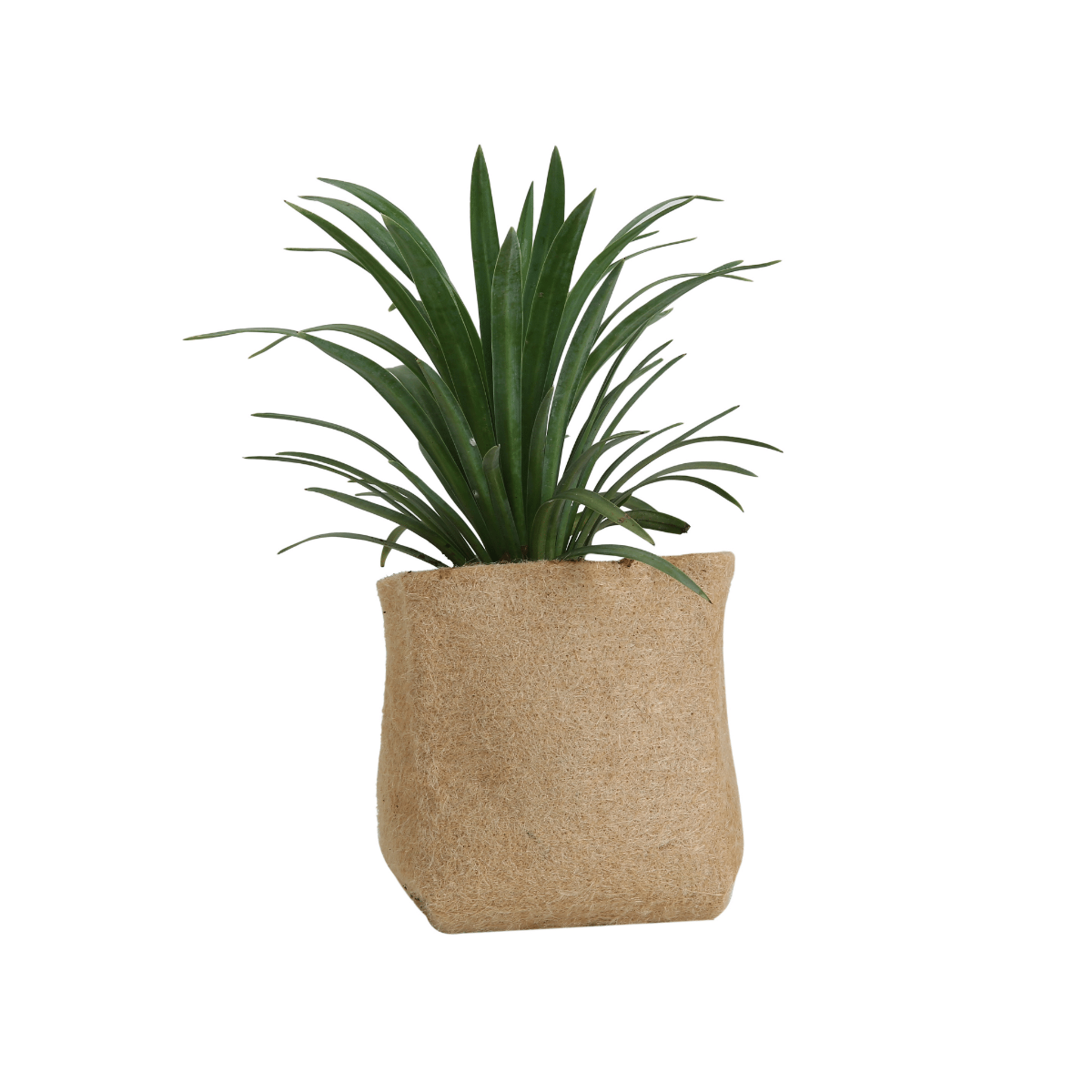 jute fiber grow pot