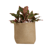 jute pot with short plant