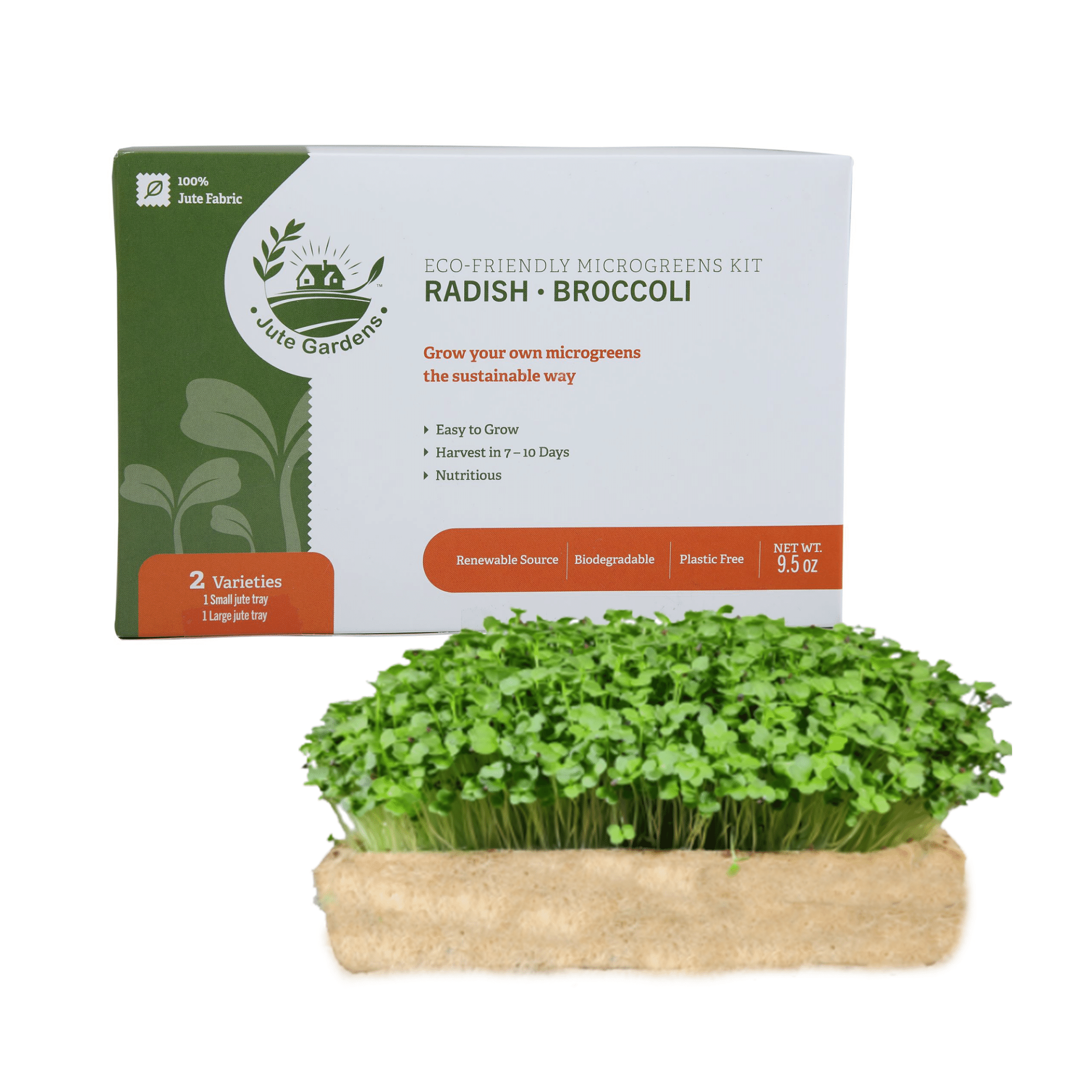 11+ Handy Pantry Radish Microgreen Kit Jute Gardens Microgreen Growing Kit – Broccoli & Radish Seeds, Eco-Fri